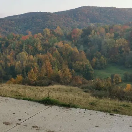 Cabanuta Fara Fite Provita de Jos